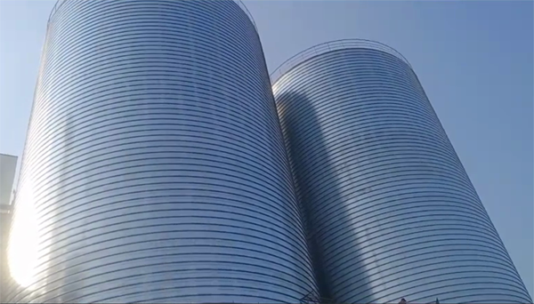 镇原2座混凝土高架卷板仓